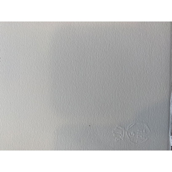 Image 1 of Litografía antigua La jirafa en llamas de Salvador Dalí