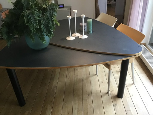 Castelijn butterfly table