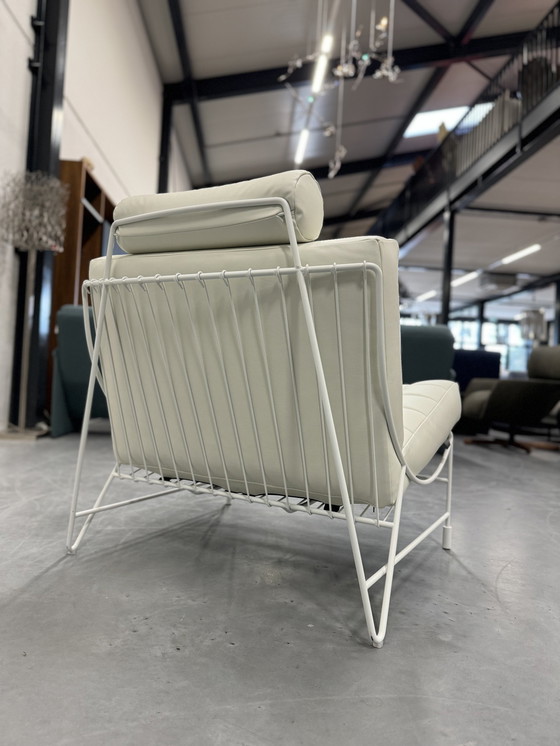 Image 1 of Sillón Leolux Volare Wapiti Sabaku Cuero