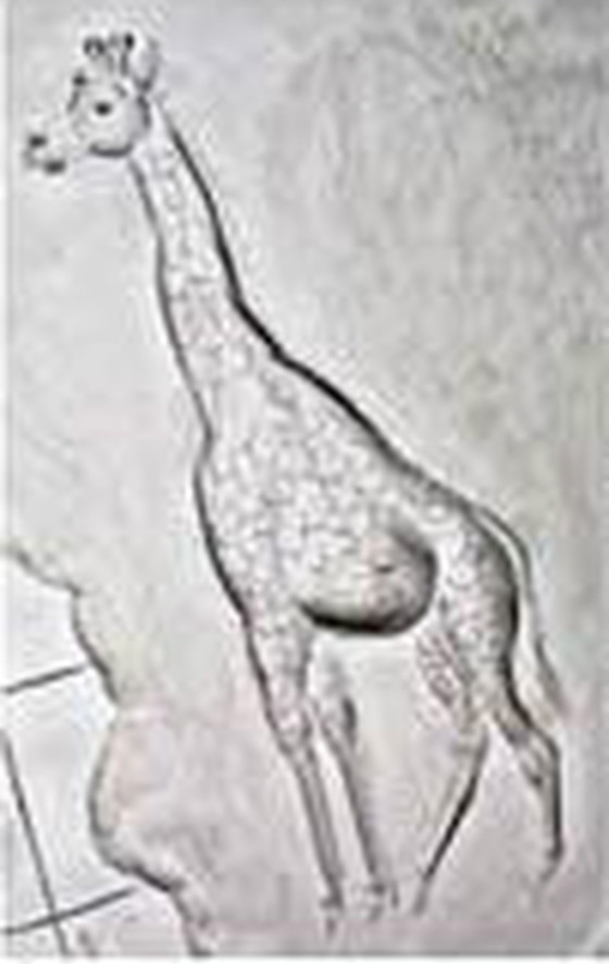 Image 1 of Globo d'epoca inciso a mano