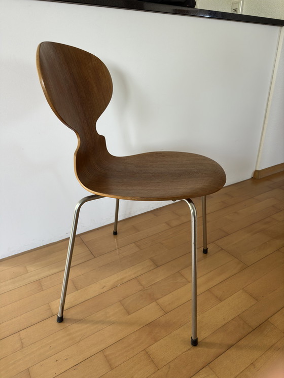 Image 1 of Arne Jacobsen Ant Chair