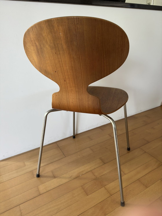 Image 1 of Arne Jacobsen Ant Chair