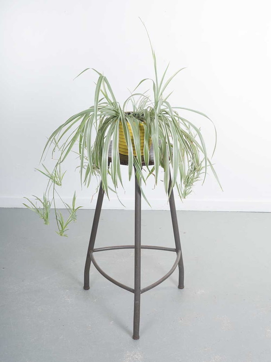 Image 1 of Barstool / Plant Stool