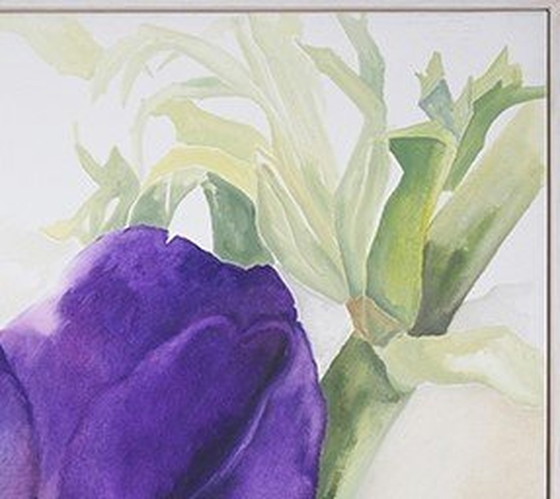 Image 1 of Anémona - Pintura acrílica de Susanne Hartmann