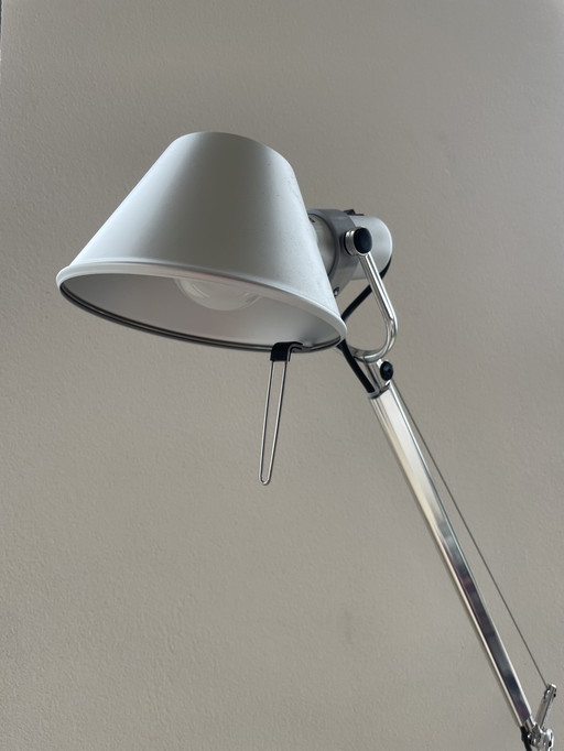 Artemide Tolomeo table lamp Halo fixture