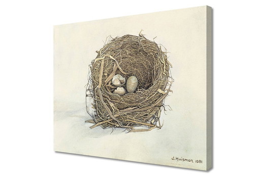 Jopie Huisman ---The Blackbird's Nest