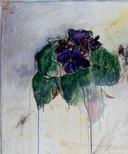 Bruno Bruni----------Fiore