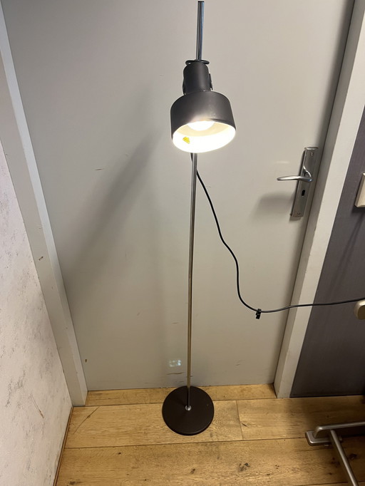 Anvia Floor Lamp