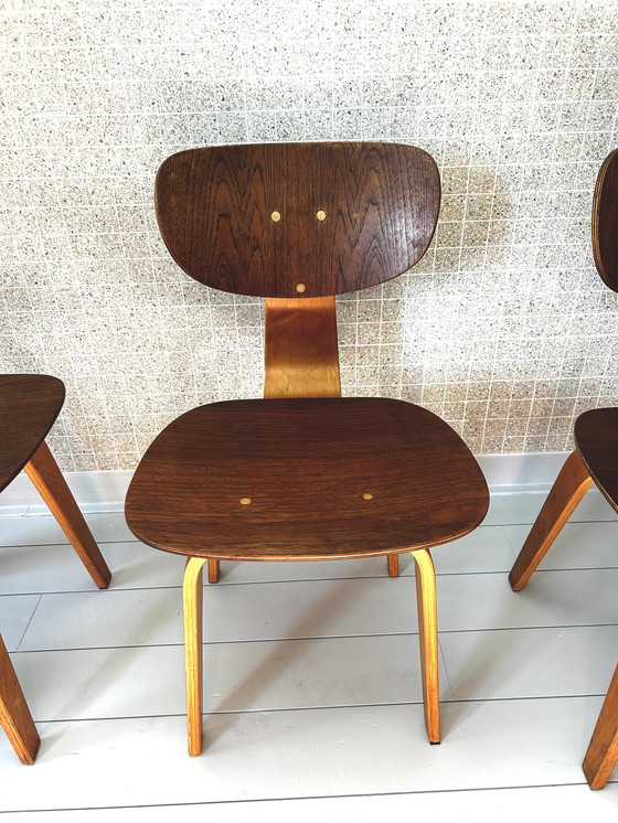 Image 1 of 4x Pastoe Dining Chairs Sb02 by Cees Braakman