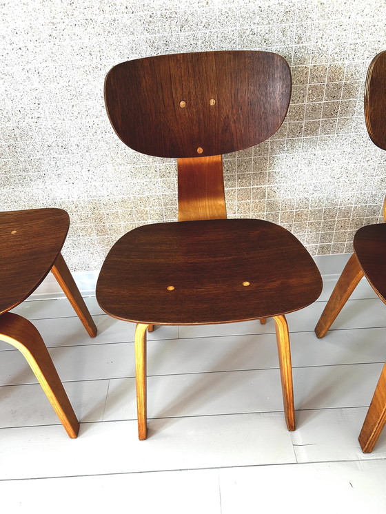 Image 1 of 4x Pastoe Dining Chairs Sb02 by Cees Braakman