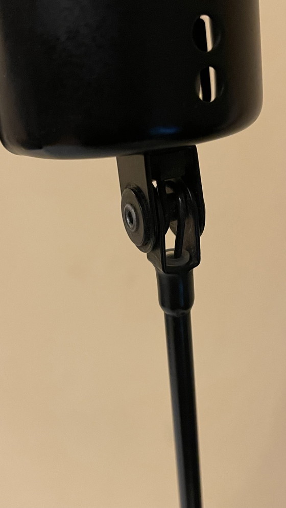 Image 1 of Lumina Italy Halogen Desk Lamp Daphine