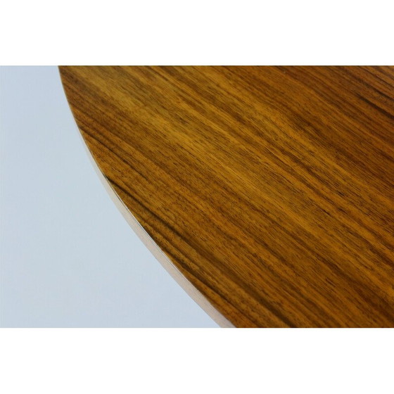 Image 1 of Vintage Bauhaus tubular steel and wood dining set by Mart Stam, Czechoslovakia 1930s