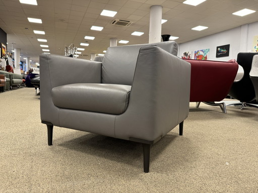 Leolux Evidence Brisa armchair gray leather