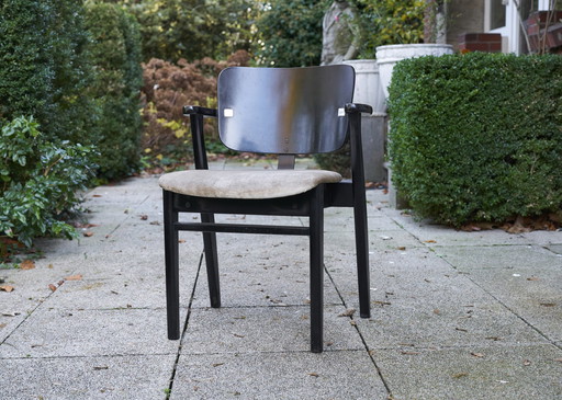 6 x Vintage Chairs "Domus" By Ilmari Tapiovaara For De Coene