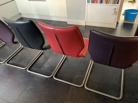 Image 1 of 6x chaises de salle à manger Luna du nouveau monde de Bree