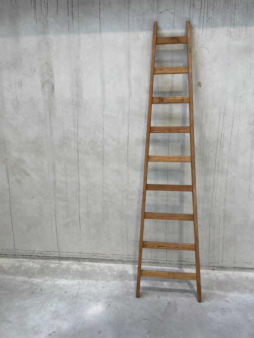 Decorative ladder/towel rack