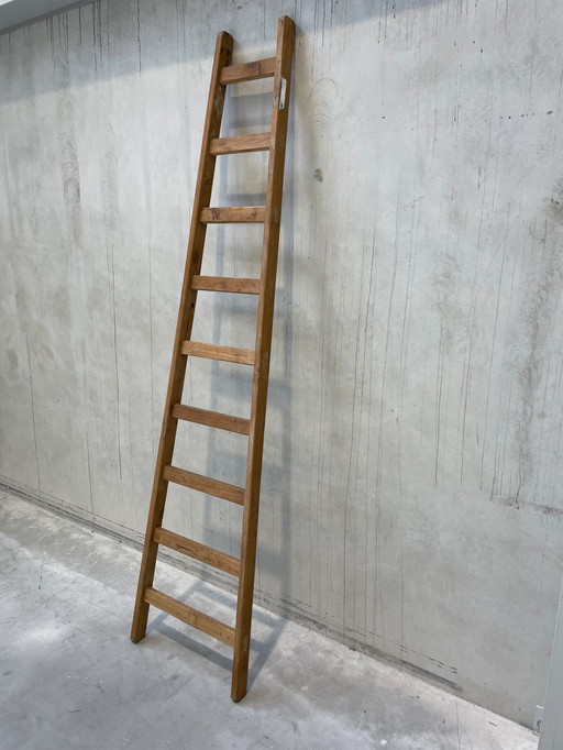 Decorative ladder/towel rack