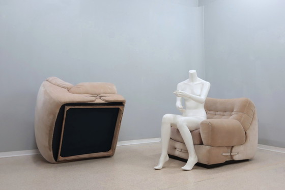 Image 1 of Vintage Pair Of Velvet Armchairs Mariani 1970S