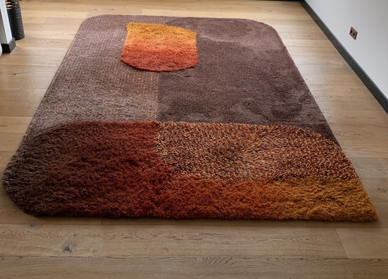 Image 1 of Leolux Rug 'Seasons' 225X340 Cm