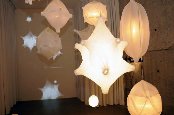 Image 1 of 5x Radiolaria Bernotat lamps