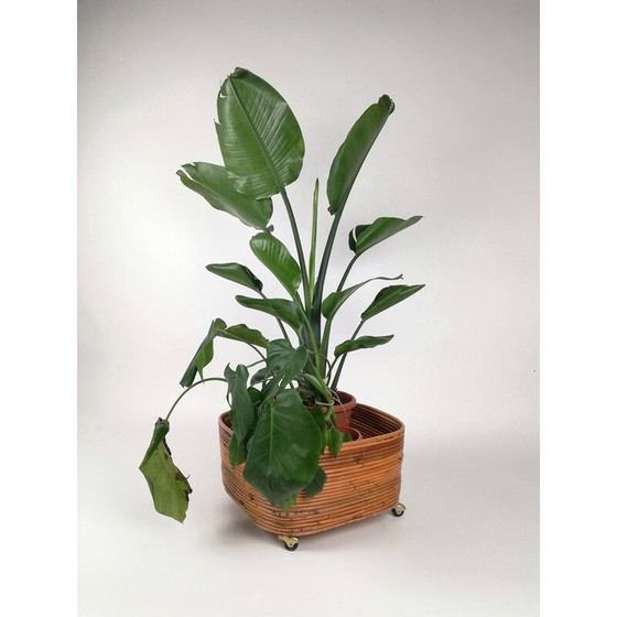 Image 1 of Vintage rattan flower stand , Italy 1960s