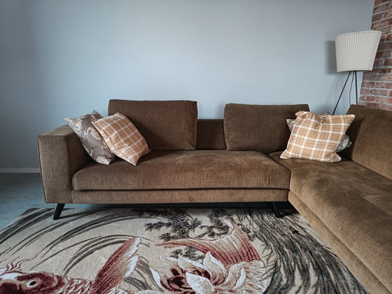 Image 1 of Divano angolare Toon Living Studio (Loods 5)