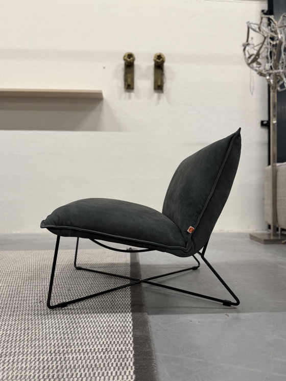 Image 1 of Poltrona Earl di Jess Design in pelle Brutero 