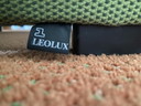 Leolux Saga armchair