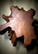 Coffee table root wood
