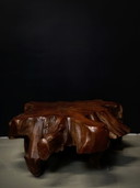 Coffee table root wood