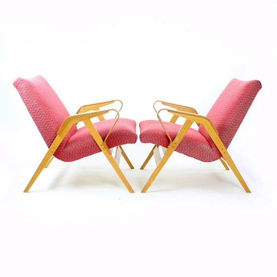 Image 1 of Vintage armchair in pink fabric and oak for Tatra, Czechoslovakia 1960