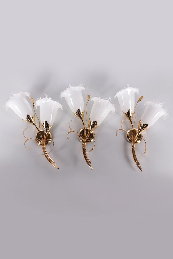 Image 1 of 24 Ct gold plated Tulip glass sconces Italian Design 1970