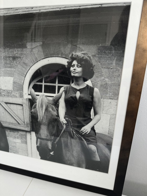 Image 1 of Gregory Peck & Sophia Loren black & white photo