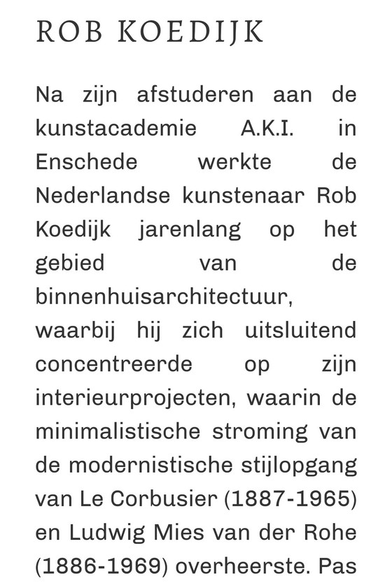 Image 1 of Rob Koedijk Koud hè schilderij