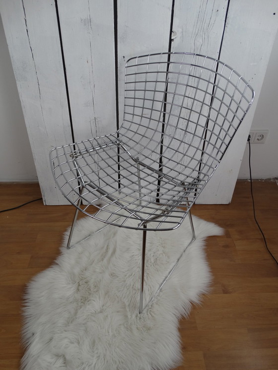 Image 1 of Bertoia Chair, Knoll International