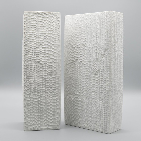 Image 1 of Martin Freyer Rosenthal Studio Line Bisque Porcelain Vase Duo Snakeskin Relief