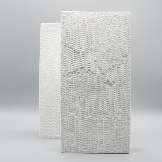 Image 1 of Martin Freyer Rosenthal Studio Line Bisque Porcelain Vase Duo Snakeskin Relief