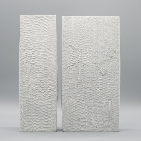 Image 1 of Martin Freyer Rosenthal Studio Line Bisque Porcelain Vase Duo Snakeskin Relief