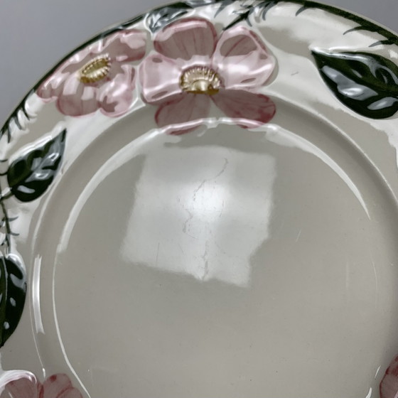 Image 1 of Set Of 9 Dessert Plates Villeroy & Boch “Wild Rose” Service, 1970