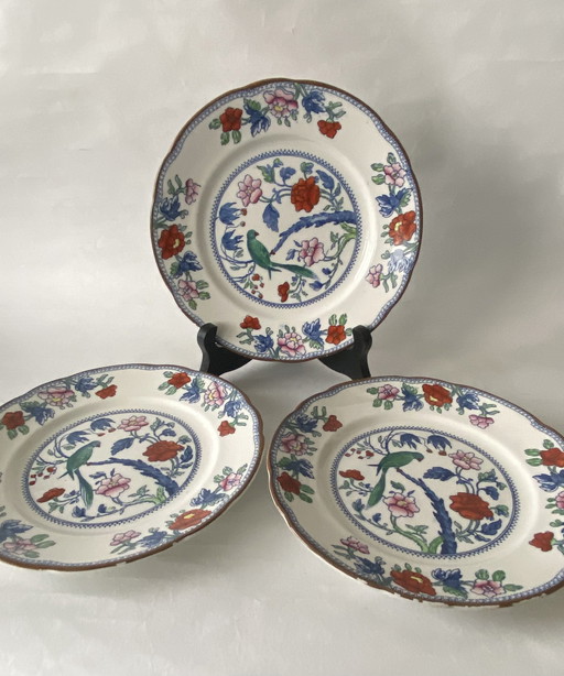 3X Booths Parrot Antique Porcelain