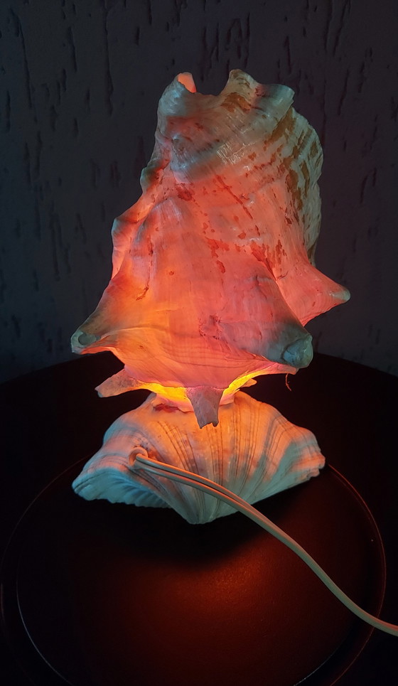 Image 1 of Shell Lamp 1970s