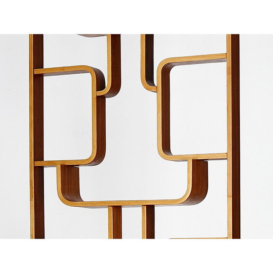 Image 1 of Vintage mahogany veneer room divider by Ludvik Volak for Drevopodnik Holesov, Czechoslovakia 1960