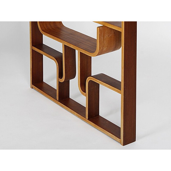 Image 1 of Vintage mahogany veneer room divider by Ludvik Volak for Drevopodnik Holesov, Czechoslovakia 1960
