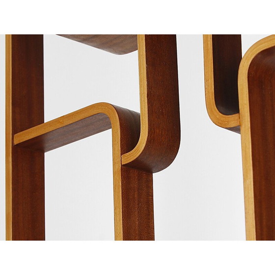 Image 1 of Vintage mahogany veneer room divider by Ludvik Volak for Drevopodnik Holesov, Czechoslovakia 1960
