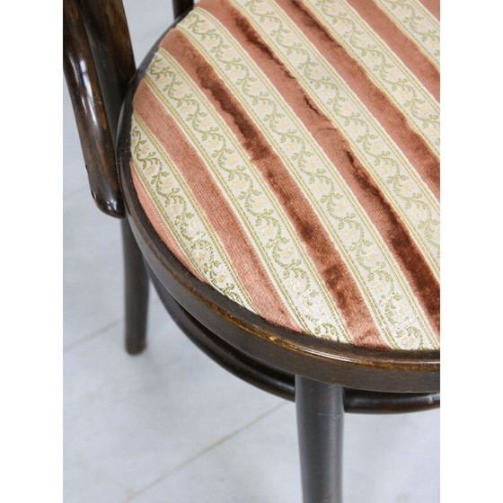 Image 1 of Coppia di sedie da pranzo vintage Thonet