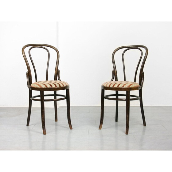Image 1 of Coppia di sedie da pranzo vintage Thonet