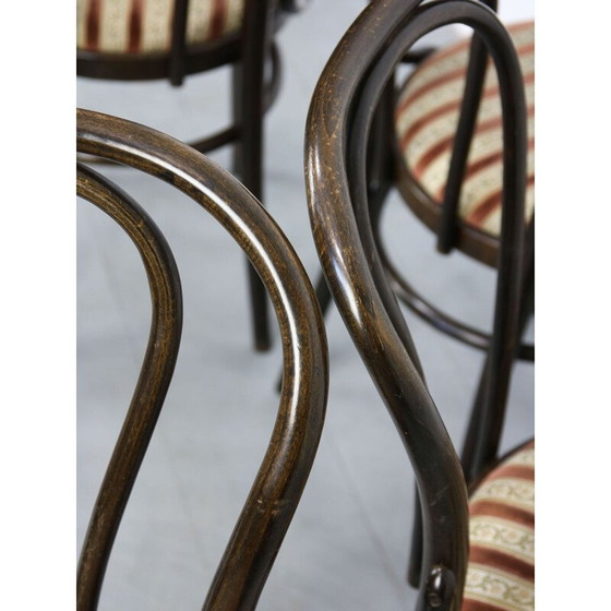 Image 1 of Coppia di sedie da pranzo vintage Thonet