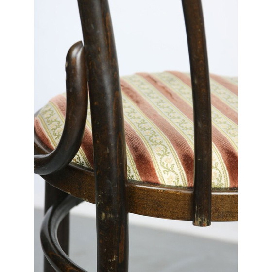 Image 1 of Coppia di sedie da pranzo vintage Thonet