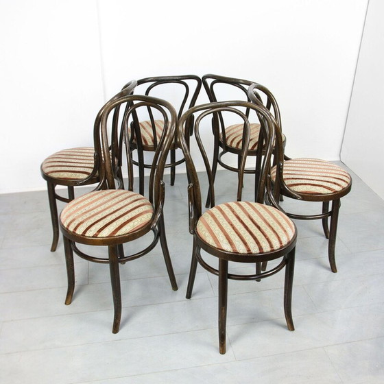 Image 1 of Coppia di sedie da pranzo vintage Thonet