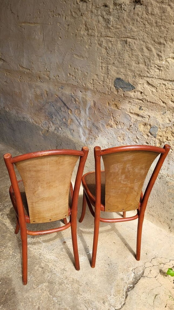 Image 1 of Pair Of Art Nouveau Chairs Thonet